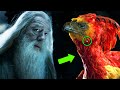 Why Didn T Fawkes Tears Heal Dumbledore S Hand Harry Potter Explained