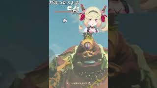 範囲攻撃に注意【息根とめる/ゼルダの伝説ティアーズオブザキングダム/切り抜き】