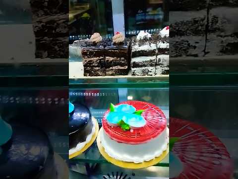 delicious pasty cake 🍰|| Daman pasty cake shop ||