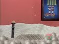 The Part Where There Were Ping Pong Balls And Loonette Has To Suck Up The Ping Pong Balls