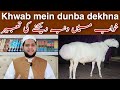 Khwab Mein Dumba Dekhna To See The Sheep In A Dream Meaning خواب میں دنبہ دیکھنے ک