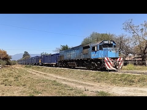 TREN 25 DE MAYO DE CAPITAL HUMANO RUMBO A CAMPO QUIJANO-SALTA [TRENES ARG.CARGAS]