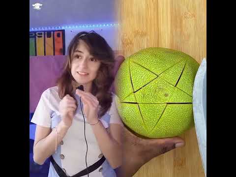 Les Presento a Jaime de TikTok  • Liza Baez • #shorts