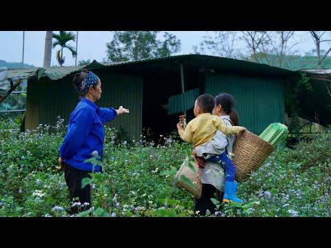 Kind old lady gives single mother an abandoned house - New life starts from zero