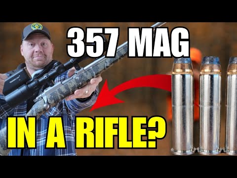 WHOTEEWHO CLIPS and WHO_TEE_WHO