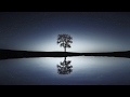 Crystal Waters