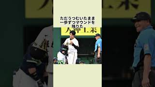 歩叶くん、なんていい子なんだ…命の危険があったのに「また対戦したい」 #野球#プロ野球#読売ジャイアンツ #ヤクルト