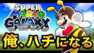 #9【実況】ハチでタイムアタックに挑戦したが最悪の結末に！？【ハセシン】