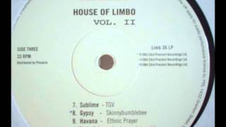 Havana - Ethnic Prayer (Chris & James Stressed Up Mix)