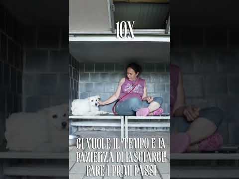 Video di SALVO