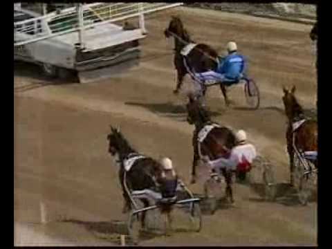 Elitloppet 1992 - The Elimination Heats