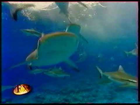 "Peur Bleue" Effets Speciaux, Renny Harlin & Walt Conti Interview 2000 "Exclusif"