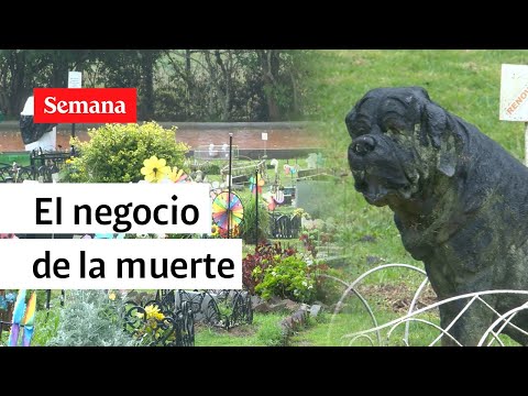 , title : 'Así funciona el negocio de las funerarias de mascotas  | Semana noticias'