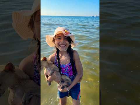Mi perrito puede nadar 😱🤣 #shorts #video #youtubeshorts #funny