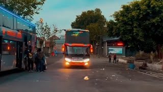 Download lagu Story Wa Bus Rosalia Indah 30 Detik Terbaru #shorts #vibes mp3