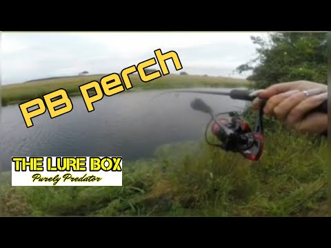 PB Perch - LMAB Kofi Bleak Shad #lurefishing #LMAB #lurefishinguk