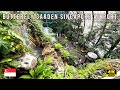 Butterfly Garden Changi Airport Singapore The World S Beautiful Airport Must Visit Place