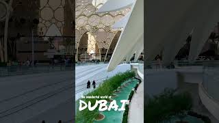 Walking the luxury world of Dubai. #walkingtour #streetlife #dubai #travel #luxurylifestyle