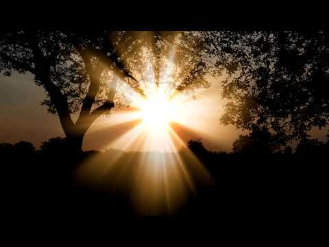 You Light Me Up  -  Andy Delos Santos feat. Craig Reever