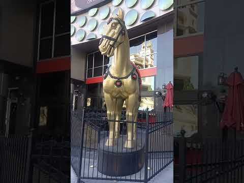 THE LONE RANGER HAD SILVER..... #shorts