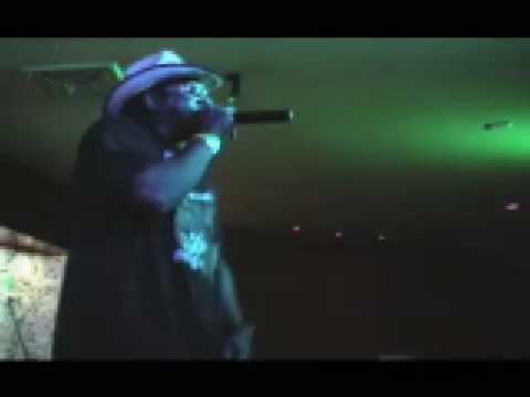 MARTINI BAR - BASS NACHO - PERFORMANCE