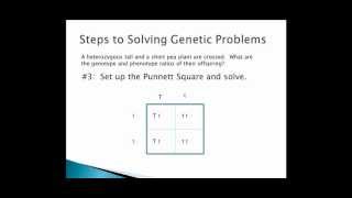 How to Do Genetic Crosses