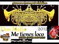 Don Mafia Me Tienes Loko 2012 Evolution Studios German Trumpet Riddim