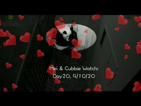 Mei & Her 4th Baby Watch: 20 Day-old Baby 'Chatting' with Mommy❣️㊗️🥰, 9/10/20