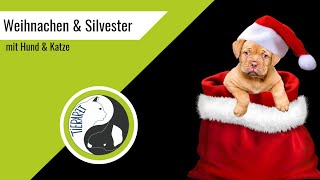Weihnachten und Silvester mit Hund und Katze