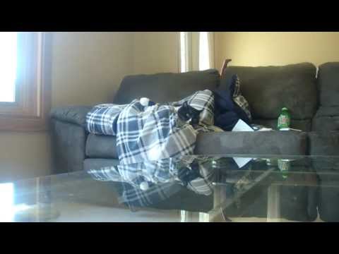 Cat gets jump start via vacuum