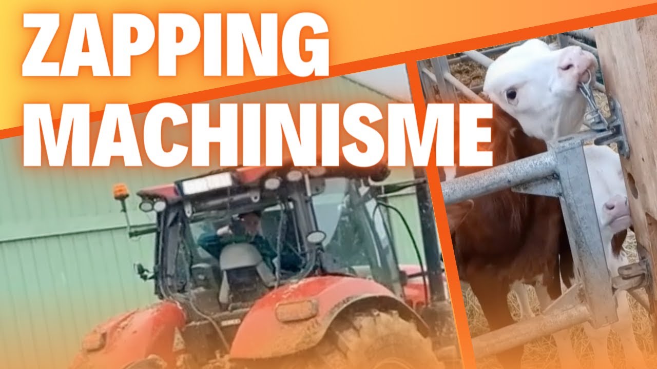 Zapping du machinisme agricole : le meilleur des réseaux sociaux du mois de septembre