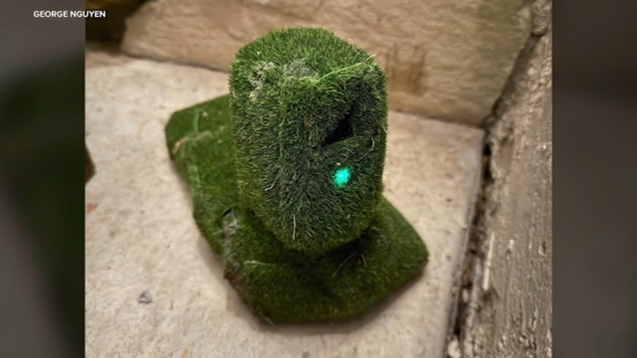 Homeowner finds hidden camera disguised with fake grass in his bushes in West Covina