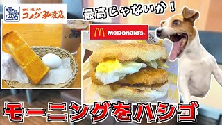 朝からコメダとマックのモーニングをハシゴするという暴挙【猫ミーム】