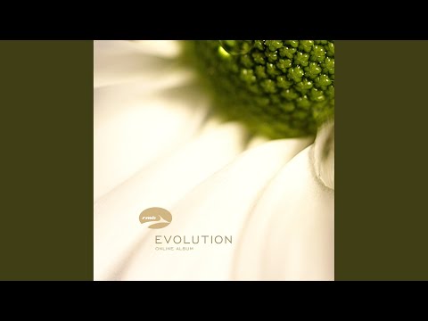 Beauty of Simplicity (Album Mix)