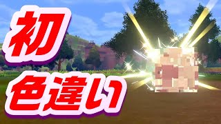 初めての色違いが出た【ポケモンソード・シールド】　#ポケモン　#剣盾　#色違い