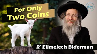 Vayimaen (וימאן) R' Elimelech Biderman - For Only Two Coins