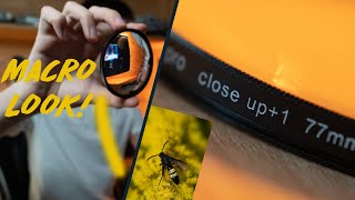 How to get the impossible macro look! WALIMEX PRO diopter close up filters