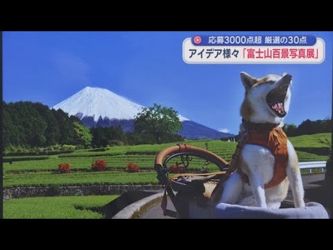 YouTube Video 「富士山よりこっち見て」ワンちゃんがアピール!?　写真コンテストの入選作品を展示　静岡・富士市