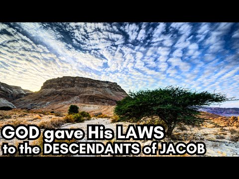 Psalm 147 | Sing and PRAISE the Lord