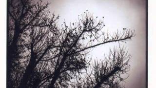 Brian Blade & The Fellowship Band | Season of Changes