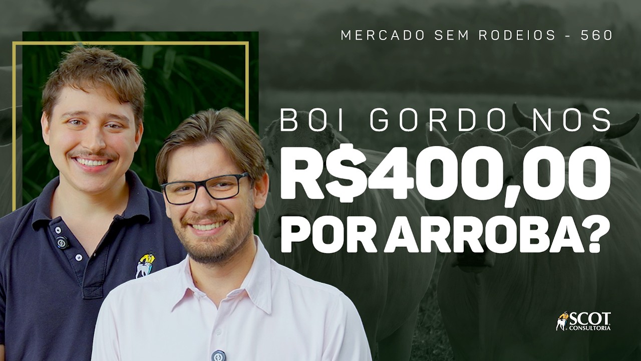 Mercado Sem Rodeios - Episódio 560 - Boi gordo nos R$400,00 por arroba?