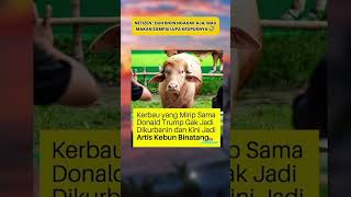 Download lagu semoga bermanfaat#dakwah #fyp #news #beritaterkini mp3