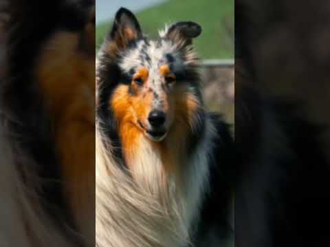 12 de fevereiro de 2026