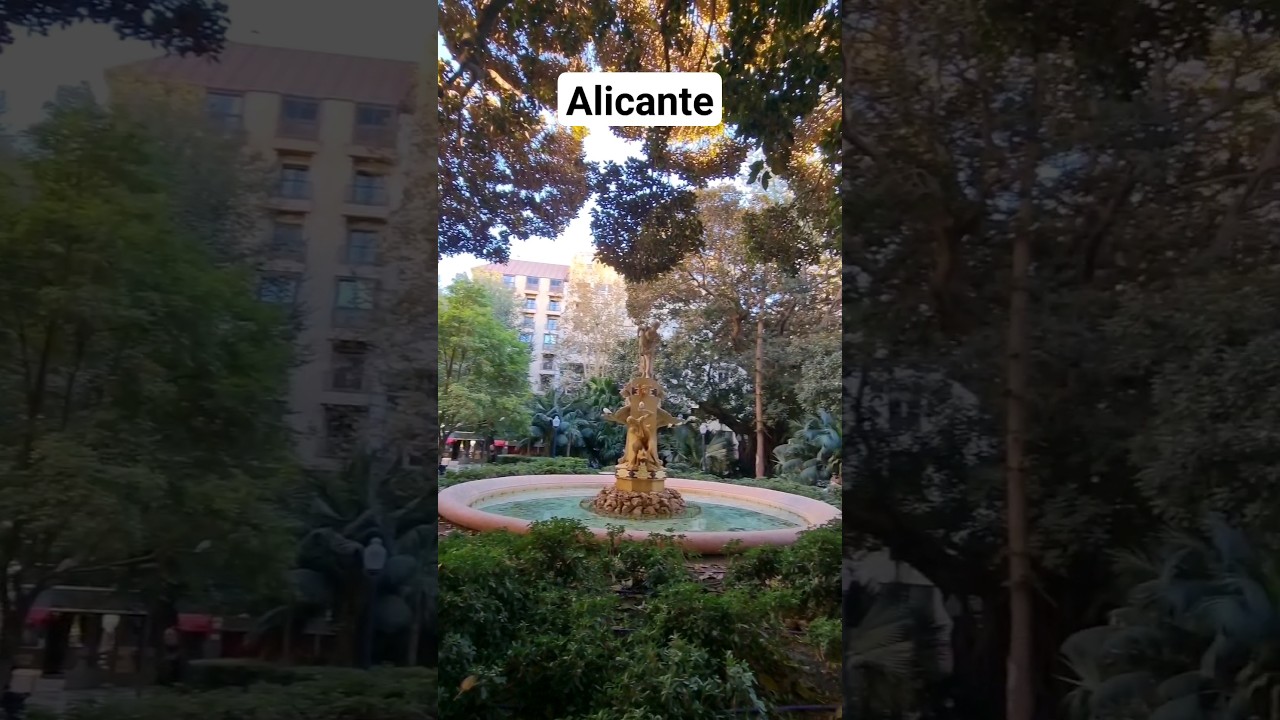 🪷 Dżungla w mieście #alicante #hiszpania #podróże ...