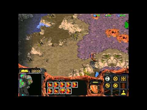 Starcraft 1: Insurrection - Zerg 10 (Finale!) - The Time to Strike