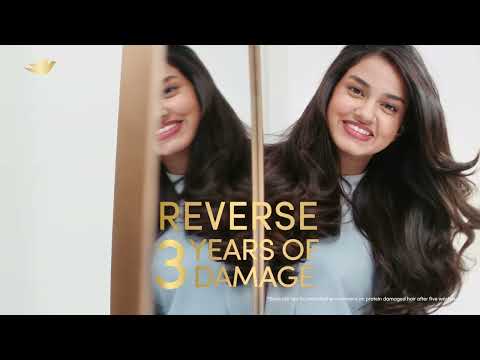 Dove Intense Repair Shampoo 650 ml