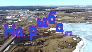 Рыбалка в чесноково кемеровская область лето 2020