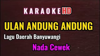 Download lagu ULAN ANDUNG ANDUNG - KARAOKE - LAGU DAERAH BANYUWANGI // NADA CEWEK mp3
