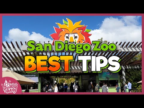 10 BEST San Diego Zoo Tips You NEED to Know in 2023