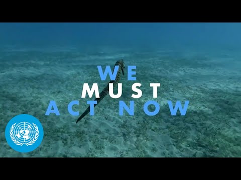 She Feels - We Must Act Now to Save our Ocean | United Nations